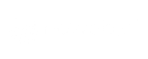 Neweb.ai Logo